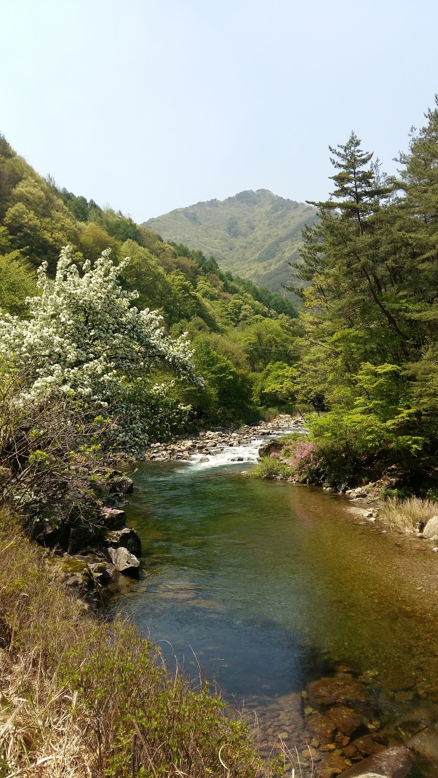 jinju city jirisan national park jinju city jirisan national park