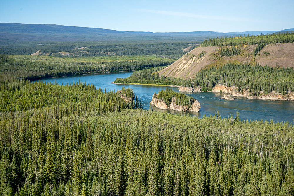Река юкон относится к бассейну. Аляска нац заповедник Юкон-Чарли-Риверс. Бореальные леса Канады. Бореальный лес. Бореальные ландшафты.