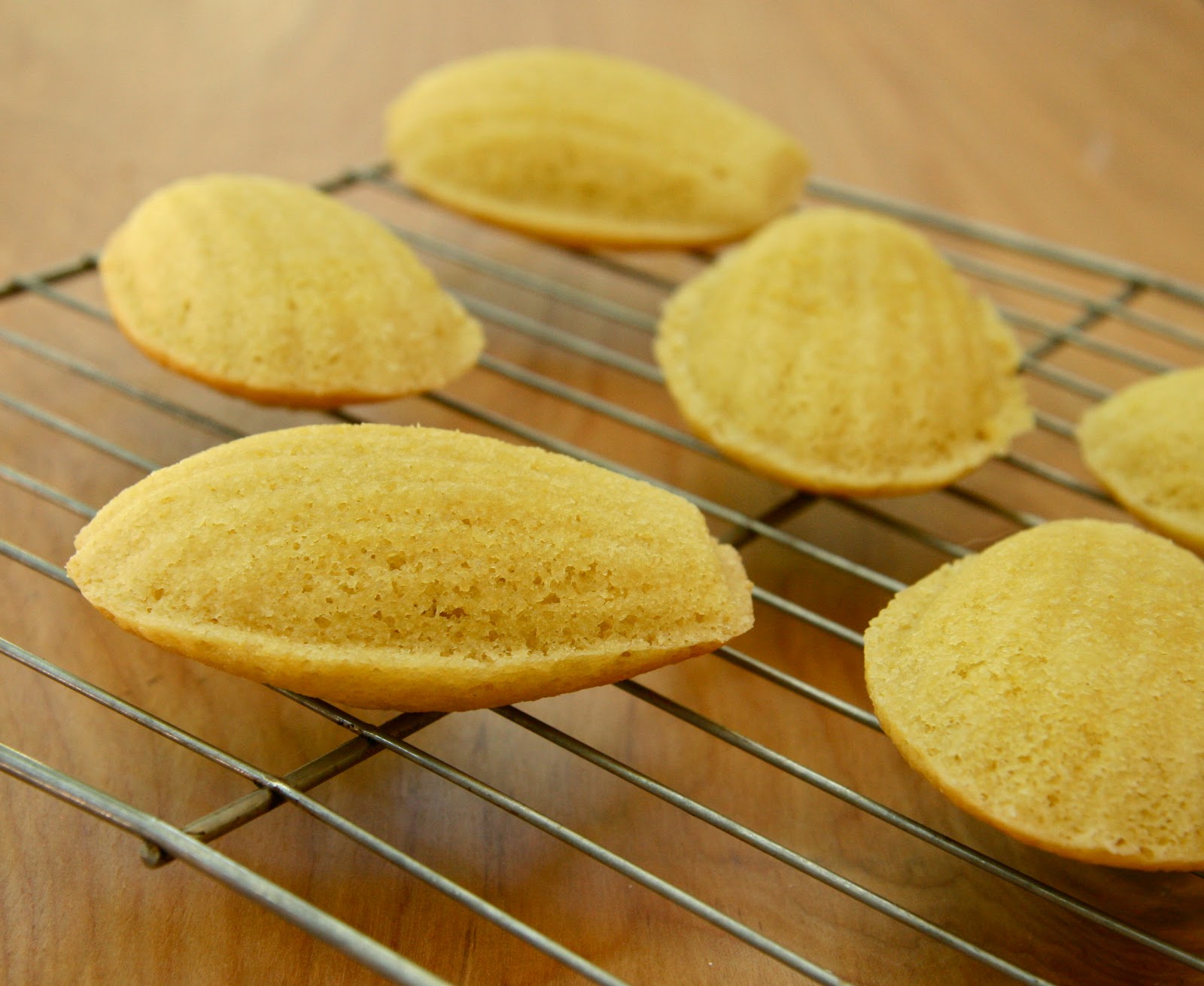The Dogs Eat the Crumbs Traditional Madeleines