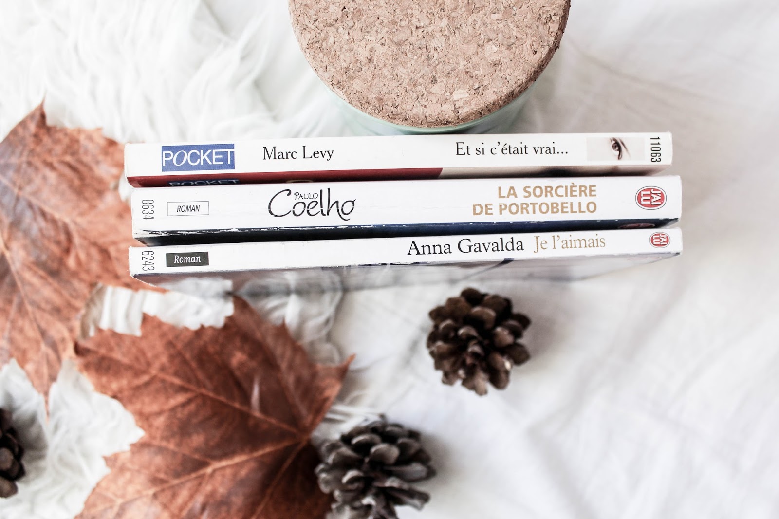 Mes dernières lectures, paulo Coelho, marc levy, anna gavalda