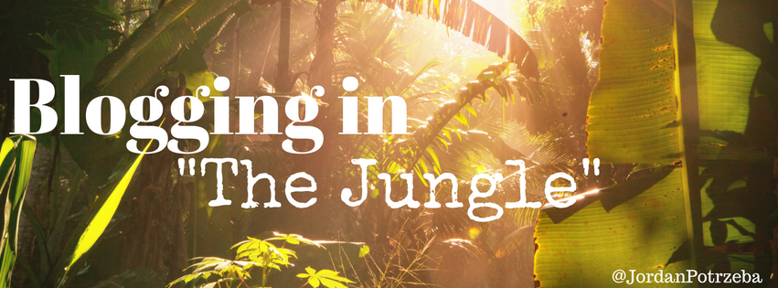 Blogging in 'The Jungle'