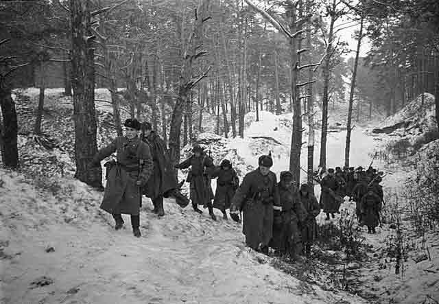 Soviet artillery near Leningrad, 1 November 1941 worldwartwo.filminspector.com