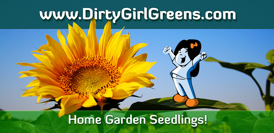 Dirty Girls Greens business card