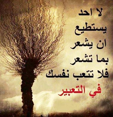 صور بروفايل واتس اب