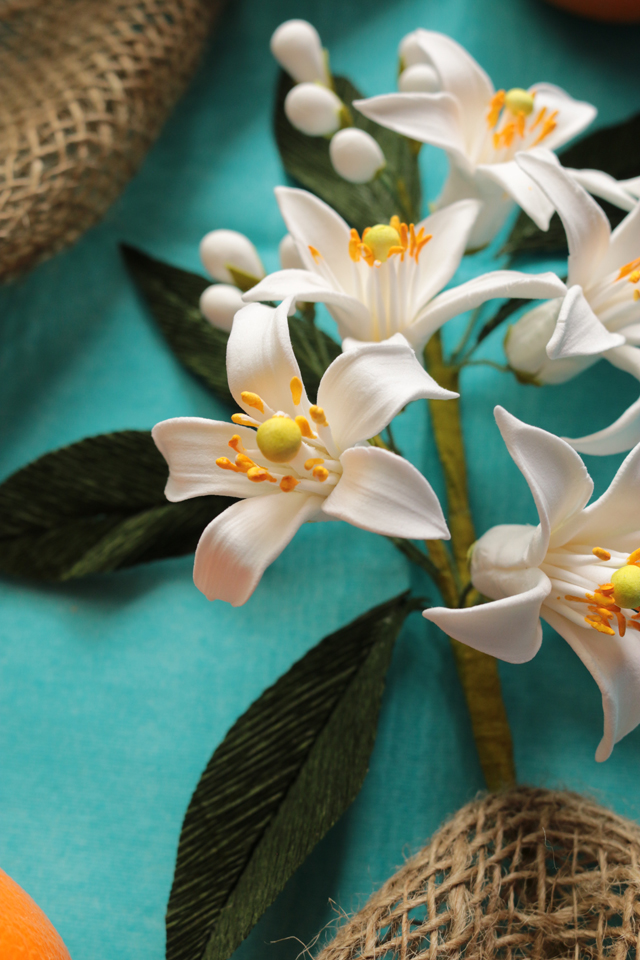 Orange Blossoms botanical representation for a vintage wedding