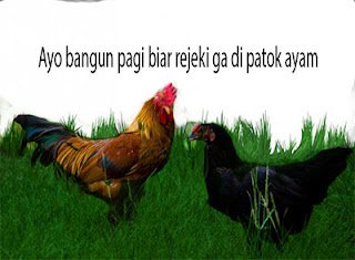 Alasan Bangun Pagi Sebelum Beraktifitas Alasan Bangun Pagi Sebelum Beraktifitas
