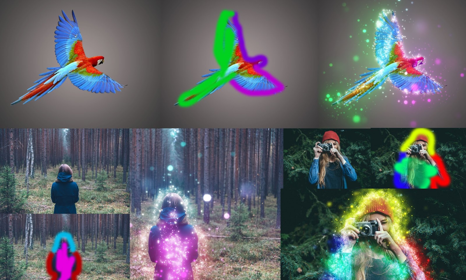 Sparkle Action Free Resource for Graphic Design