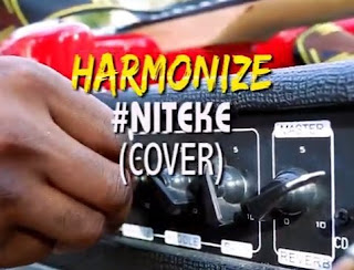 Harmonize – NITEKE ( Cover By Zahra ) mp3 - Audio Download