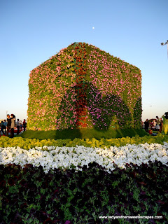 Cubes at Dubai Miracle Garden