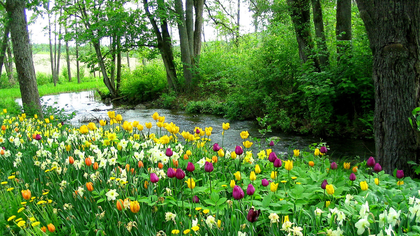 private pic. ดอกไม้สายธาร