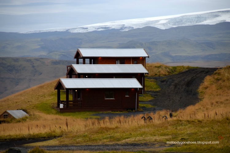 Four Days In Iceland - Day 3: The South Coast | Ms. Toody Goo Shoes
