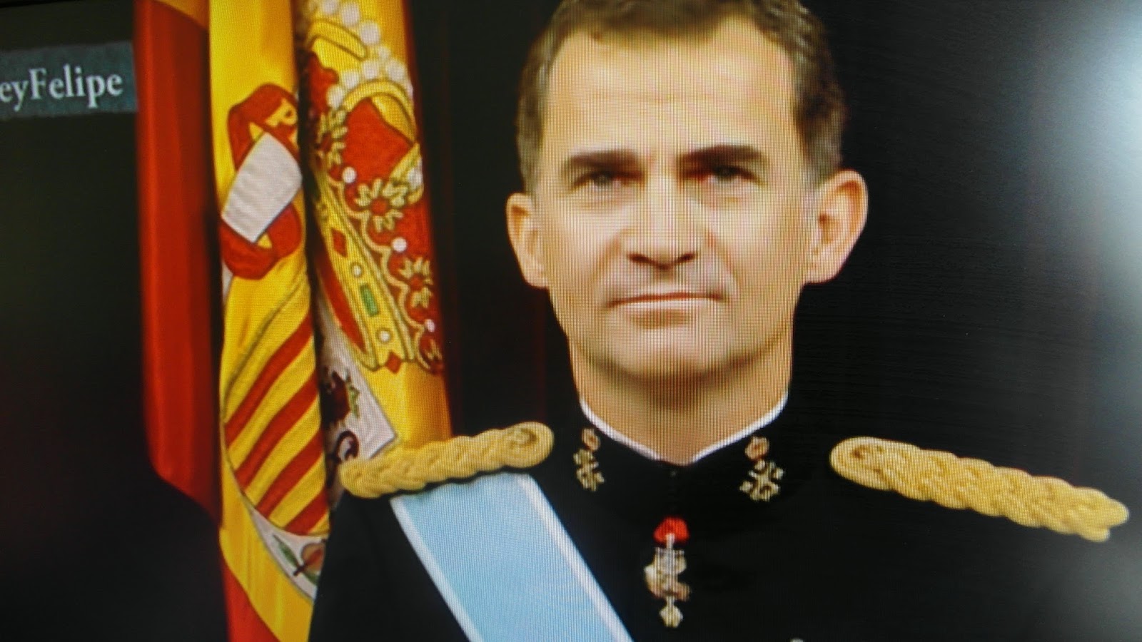 &hellip;fotos y emociones bajo el viejo olmo&hellip;: EL REY FELIPE VI JURA ANTE