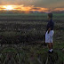The Quagmire in Philippine Agriculture