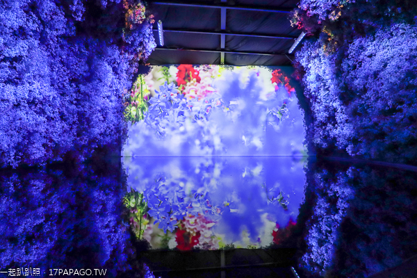 台中后里|台中花博后里馬場園區|花舞館|馬術兢技場|故宮花蝶館|花馬樂園 台中后里|台中花博后里馬場園區|花舞館|馬術兢技場|故宮花蝶館|花馬樂園