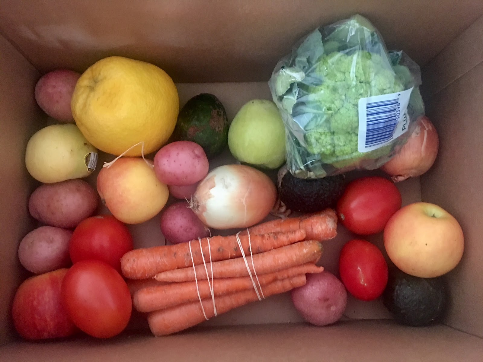 To Market, To Market with San Diego Foodstuff Imperfect Produce Comes