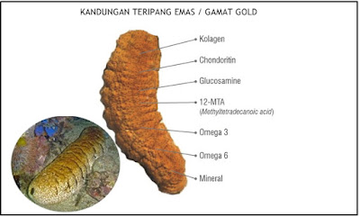 Cara Mengobati Nyeri Dada Secara Alami, Terbukti Ampuh Dan Aman Cara Mengobati Nyeri Dada Secara Alami