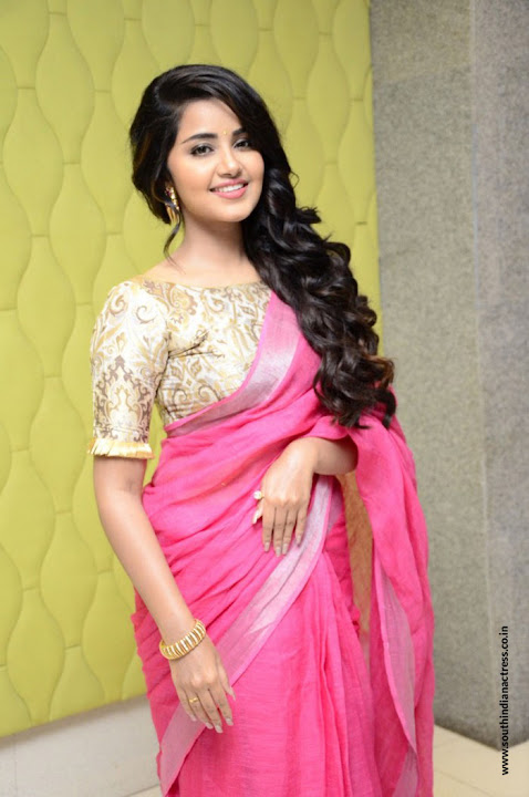 Anupama Parameswaran at Vunnadi Okate Zindagi Movie Thanks Meet