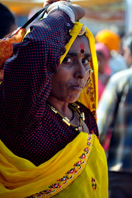 pushkar rajasthan camel fair