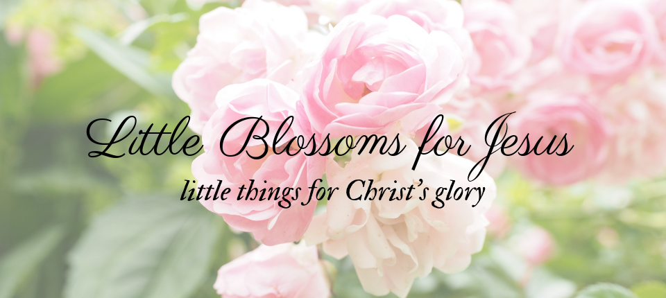 Little Blossoms for Jesus