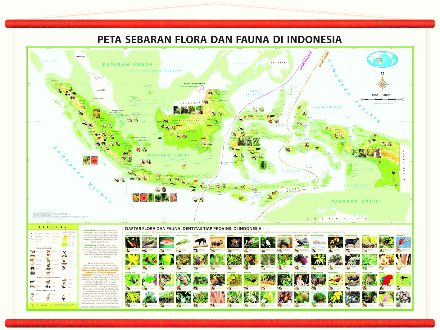 4400 Koleksi Gambar Flora Indonesia Bagian Barat Beserta Penjelasannya HD