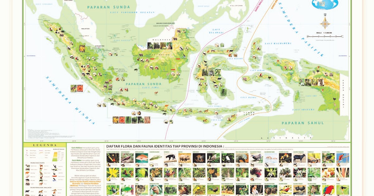 52+ Gambar Persebaran Flora Dan Fauna Di Indonesia Terlihat Keren