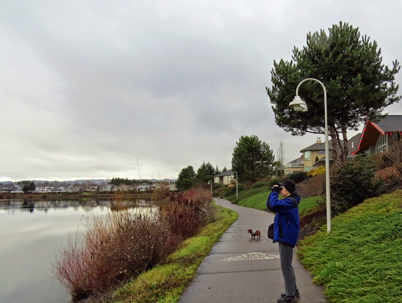 Cascade Ramblings Birding Staats Lake