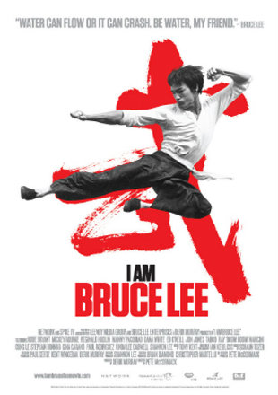 I Am Bruce Lee 2011 BluRay 300MB Hindi Dual Audio 480p