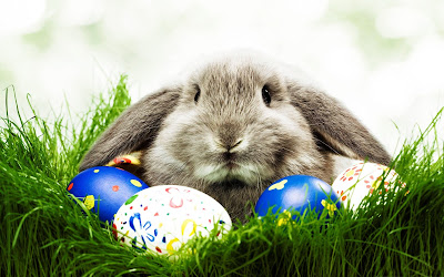 Happy Easter 2016 Images - Pictures - Wallpaper and Pics Happy Easter 2016 Images - Pictures - Wallpaper and Pics