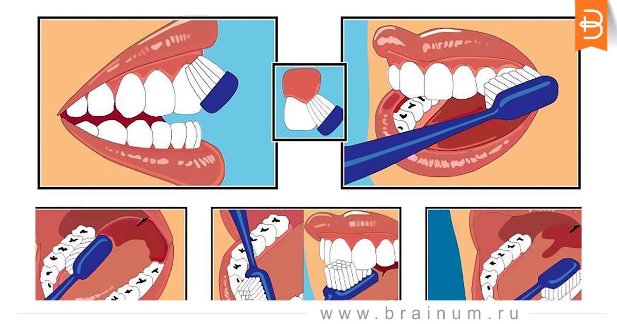 Картинки как правильно чистить зубы картинки для детей