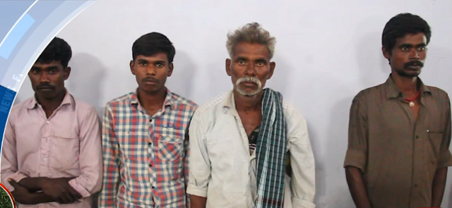 மரவள்ளிக்கிழங்குடன் கஞ்சா சாகுபடி செய்த 4 ‘விவசாயிகள்’ கைது மரவள்ளிக்கிழங்குடன் கஞ்சா சாகுபடி செய்த 4 ‘விவசாயிகள்’ கைது