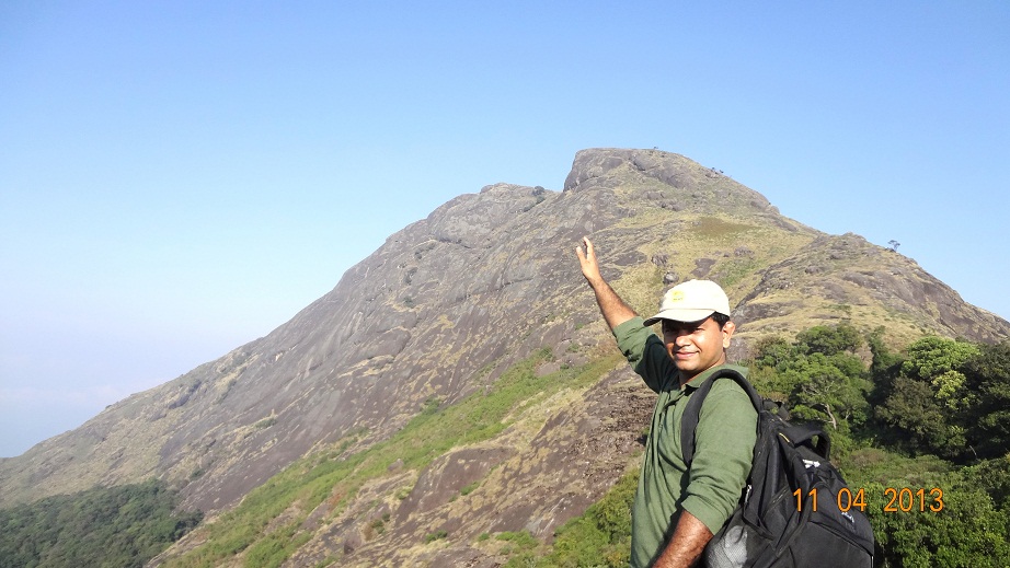 Travel a Life Imperfect Munnar .. Tea fields and beyond, in the Bison