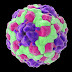 Gene discovery unlocks mysteries to our immunity
