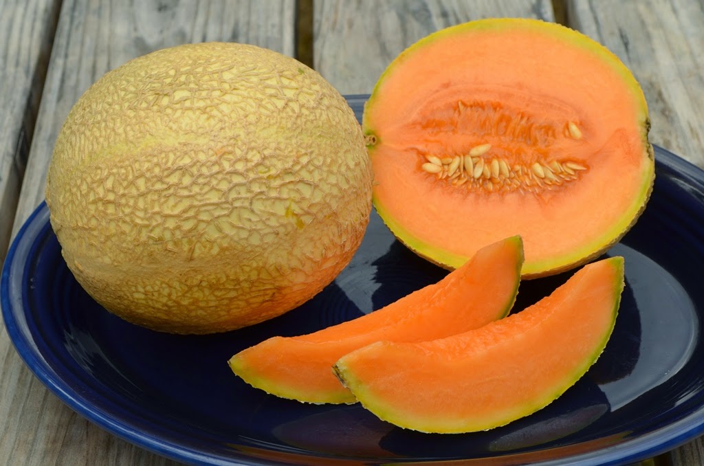 Harmony Valley Farm Featured Item of the Week Melons