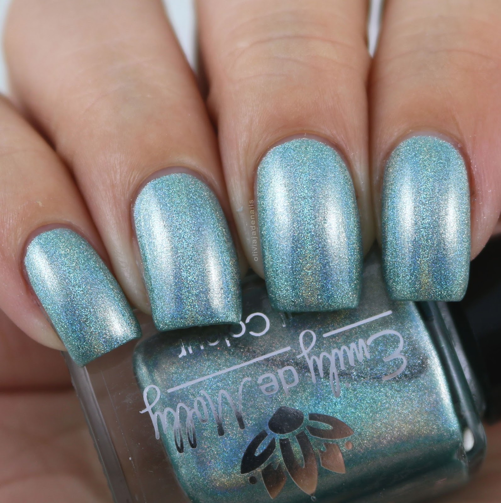 Emily de Molly Beautiful Distraction swatched by Olivia Jade Nails