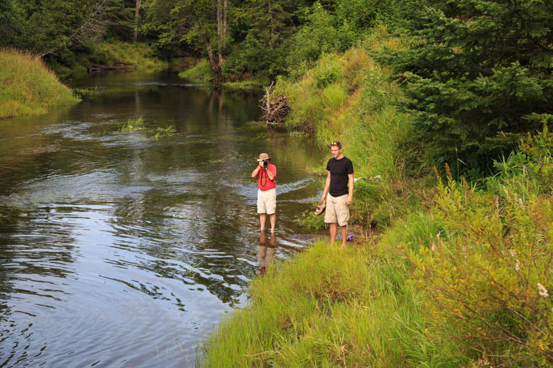 Pity, that Wife at the swimming hole from it Are not Wife at the swimming hole opinion you