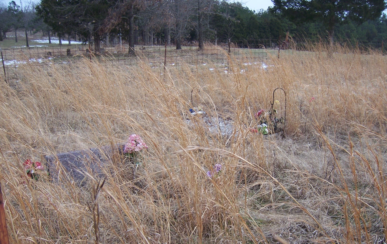 Cemeteries of Baxter County, AR The Hart Cemetery is South of Mountain