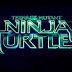 Premier trailer vost efficace pour les Tortues Ninjas de Jonathan Liebesman !