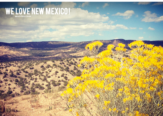 We love New Mexico!