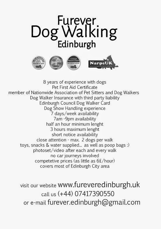 Contact / Furever Dog Walker Edinburgh Scotland Furever Dog Walker Edinburgh Scotland