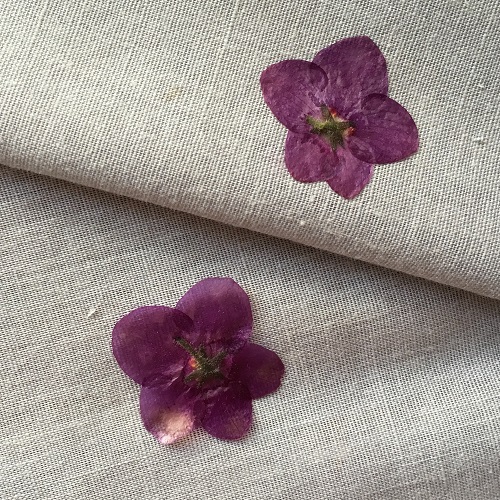 How to Press Flowers Using a Microwave / The Beading Gem