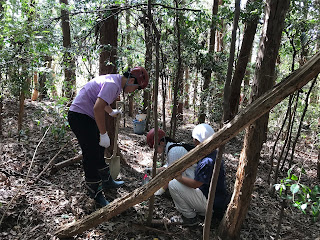 生物における水の働き - 生化学的機能