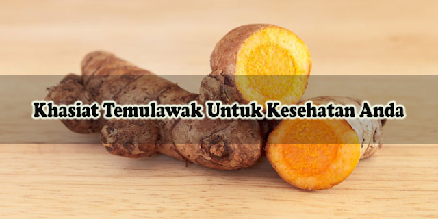 Khasiat Temulawak Untuk Kesehatan Anda Temulawak adalah salah satu akar dari tumbuhan yang lebih dikenal dengan akar rimpang. Tumbuhan yang biasa digunakan untuk bumbu masak ini memliki berbagai macam manfaat dan fungsi yang baik bagi kesehatan tubuh. Dengan mengkonsumsinya secara rutin membuat tubuh anda terhindar dari berbagai macam penyakit. Berbagai macam penyakit bisa ditangani oleh si akar ajaib ini, dari memperlancar air susu ibu sampai pembunuh nomor satu yaitu penyakit jantung. Berikut Kang Arif berikan beberapa khasiat temulawak yang bagus untuk kesehatan.