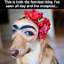 Top 10 Funny Animals images, greetings, pictures for whetsap - bestwishespics
