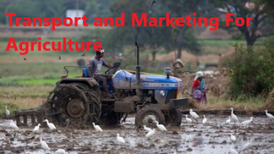 Transport+and+Marketing+For+Agriculture