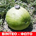 Kαρπούζι 33 κιλά-Το καρπούζι που έγινε θέμα συζήτησης στην Σαντορίνη!