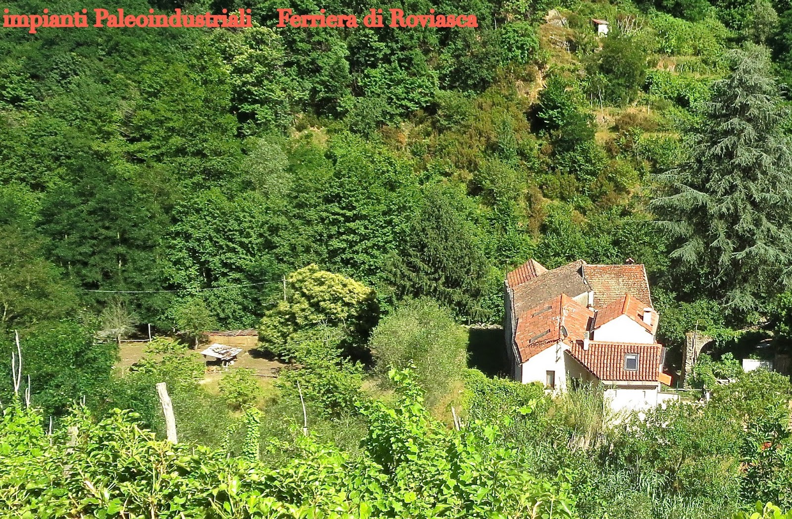 Associazione culturale