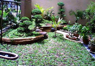 desain taman dengan dollar kecil desain taman dengan dollar kecil