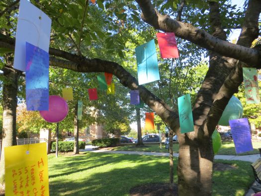 Autumn Memories: Installation On A Tree