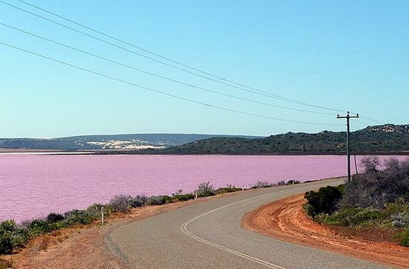 8 Danau Berwarna Pink Yang Mirip di Negeri Dongeng