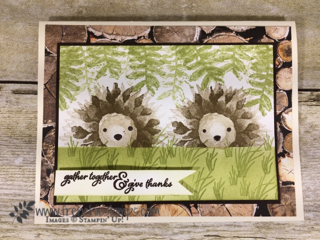 Painted Harvest Hedgehogs, Stampin'Up!